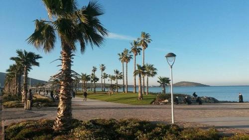 a street light next to a beach with palm trees at Mustapha in Nador