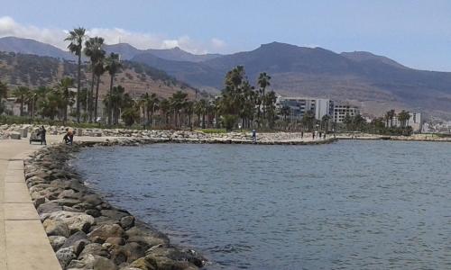 a body of water next to a beach with palm trees at Mustapha in Nador