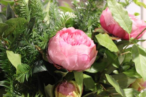 a pink flower on a plant with green leaves at Pirralilla Estate Adelaide Hills in Aldgate
