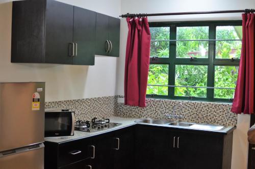 a kitchen with black cabinets and a sink and a window at Grand West Villas in Nadi