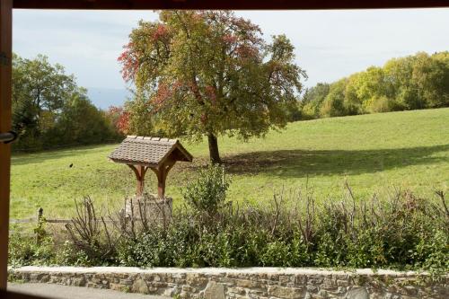 a bird feeder in a field with a tree at Le Bonheur dans le Pré in Lucinges