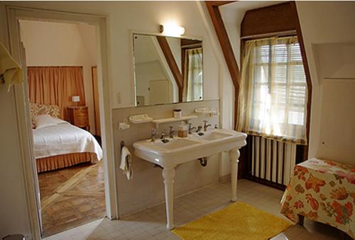 een badkamer met een wastafel, een spiegel en een bed bij Le Logis d'Arniere in Saint Cyr-sous-Dourdan