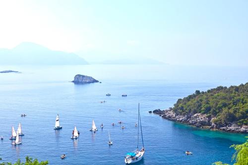 Φυσικό τοπίο κοντά σε αυτό το ξενοδοχείο