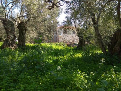 Zahrada ubytování Pelion Zervochia