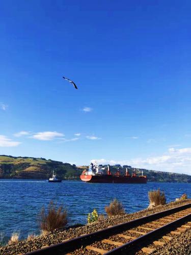 two cargo ships on the water with a bird flying at Harbourview Stadium Hotel in Dunedin