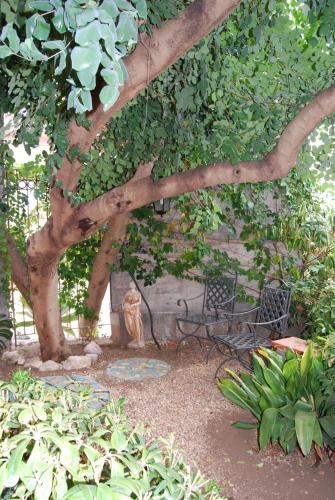 a tree with a couple of benches under it at Villa Angela in Taormina