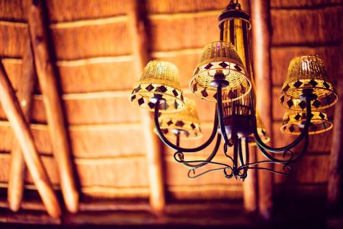 a close up of a chandelier in a room at Premier Resort Mpongo Private Game Reserve in Macleantown