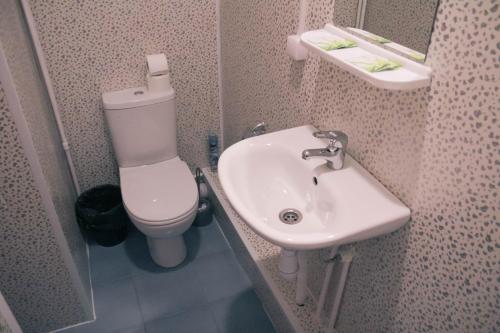 a bathroom with a toilet and a sink at Ars Hotel on Krasnie Vorota in Moscow
