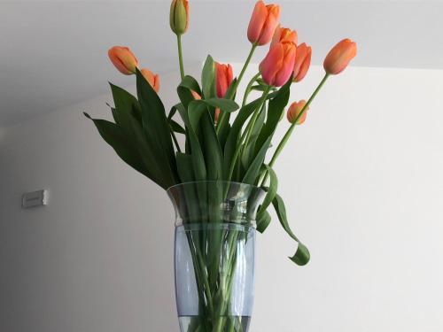 Foto dalla galleria di Hotel Corallo Circeo a San Felice Circeo