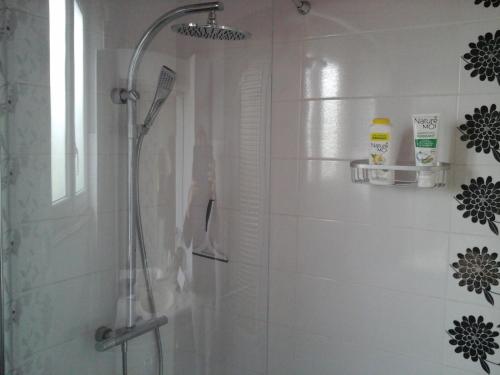 a shower with a glass door in a bathroom at Chez Evelyne chambre d'hôtes chez l'habitant in Verdun