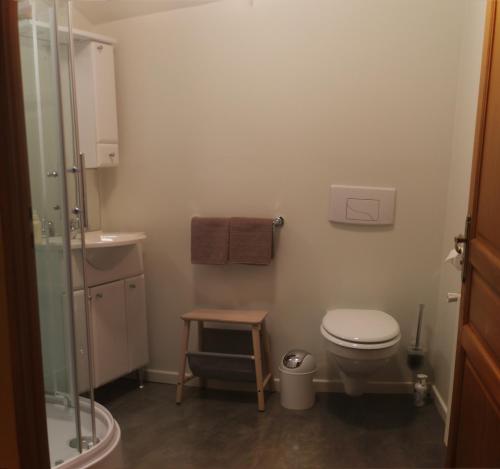 a small bathroom with a toilet and a shower at Chambre d'Hôtes au Sargaillon in Pouillon