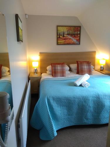 a bedroom with two beds with blue sheets and two lamps at Tollyrose Country House in Newcastle