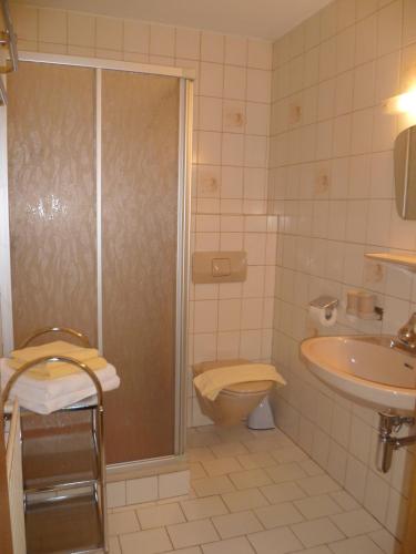 a bathroom with a shower and a toilet and a sink at Appartement Alpenhof Wildschönau in Niederau