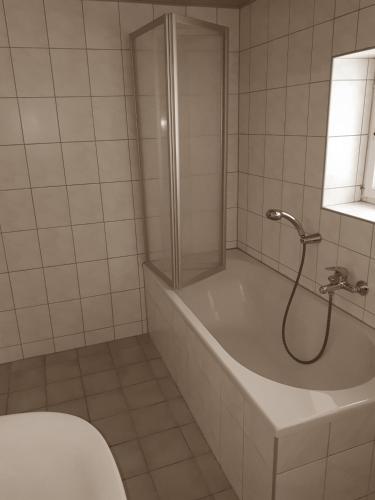a bathroom with a shower and a tub and a toilet at Waldhaus Crottendorf in Crottendorf