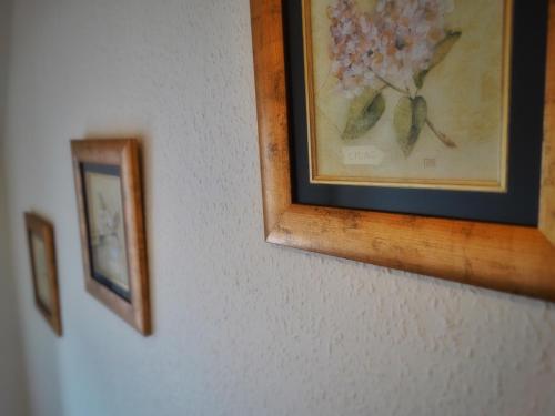 Φωτογραφία από το άλμπουμ του Kilchoan Hotel σε Kilchoan
