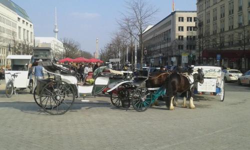 a horse drawn carriage on a city street at Berlin - Schönefeld grüne Wohnung in Schönefeld