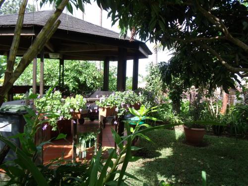 Taman di luar Les Agapanthes