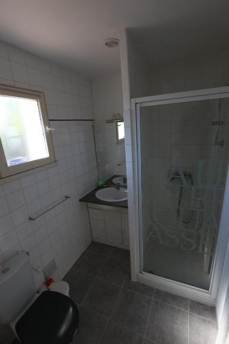 une salle de bain avec une douche, des toilettes et un lavabo dans l'établissement Le Mas du Vieux Chene, à Saint-Paul-en-Forêt