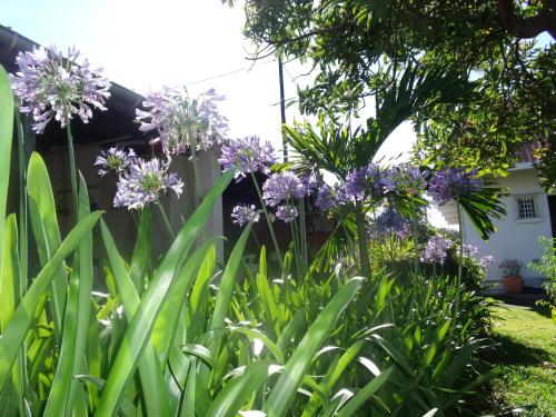 Taman di luar Les Agapanthes