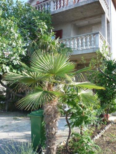 Fotografie z fotogalerie ubytování Apartments Ane v destinaci Sukošan
