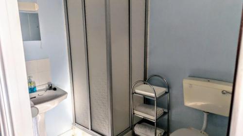 ハバーフォードウェストにあるThe Windsorのバスルーム(トイレ、洗面台、鏡付)