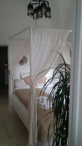 a bedroom with a white canopy bed with a plant at Corte Moline in Gallipoli