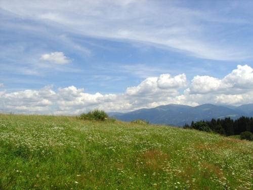 Paisaje cerca de este agroturismo