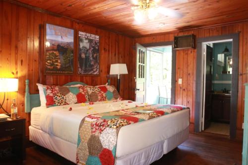 1 dormitorio con 1 cama en una habitación con paredes de madera en Riverside Lodge at Chimney Rock en Chimney Rock