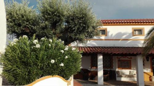 a house with two trees in front of it at Monte dos Aroeirais in Fronteira