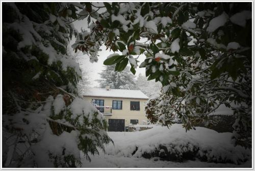a house covered in snow in front of a tree at Chez Flo et Marc in Chouzy-sur-Cisse