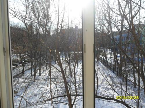 モスクワにあるMoscow Garden View Apartmentの雪に覆われた庭を望む窓