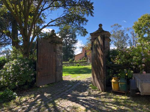 Gallery image of Hacienda La Alegria in Hacienda La Alegría