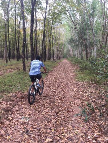 Ποδηλασία στο Annie Villa at Khao Yai ή στη γύρω περιοχή