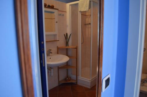 a small bathroom with a sink and a shower at Cascina Il Convivio in Diano dʼAlba