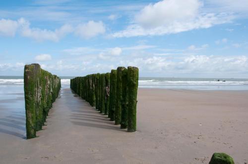 a row of wooden posts on the beach at B&B Aquavit in Knokke-Heist