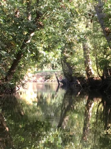 einen Fluss in einem Wald mit Bäumen, die im Wasser reflektieren in der Unterkunft Dormir Ben Aise Hammam Massages in Maillezais