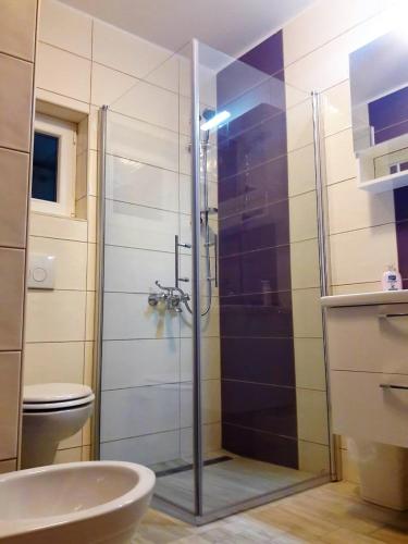 a bathroom with a shower with a toilet and a sink at Guest House Tonica in Krk