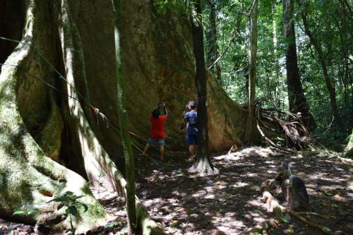 dwoje ludzi stojących na szlaku w lesie w obiekcie Moonshadow w mieście Sungai Kolok