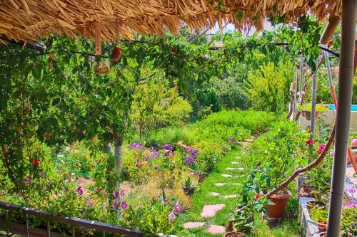 Κήπος έξω από το Ashot & Gohar B&B