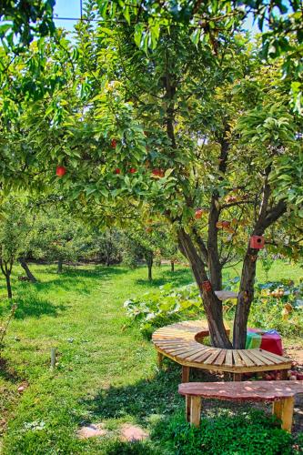 Κήπος έξω από το Ashot & Gohar B&B