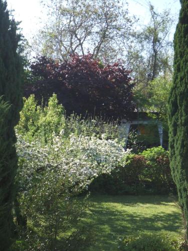 a garden with purple and white flowers and trees at La Rose Trémière in Wintzenheim-Kochersberg