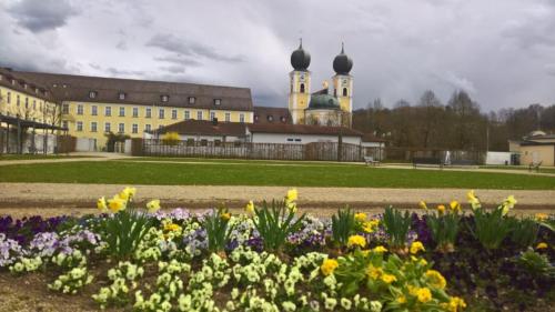 a field of flowers in front of a building at Mettner Hof in Metten