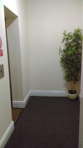 a hallway with two potted plants on the wall at VALE VIEW APARTMENT, Prestatyn, North Wales - a stylish, dog-friendly holiday let just a 5 min walk to beach & town! in Prestatyn