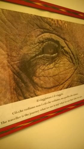 Leonardo's Rooms – Photos 5
