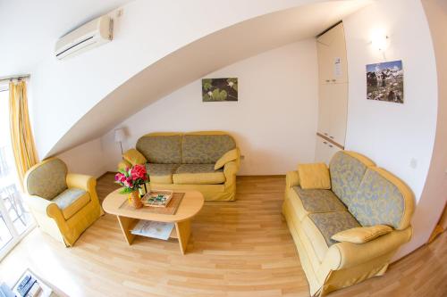 Gallery image of Apartments Luka in Budva