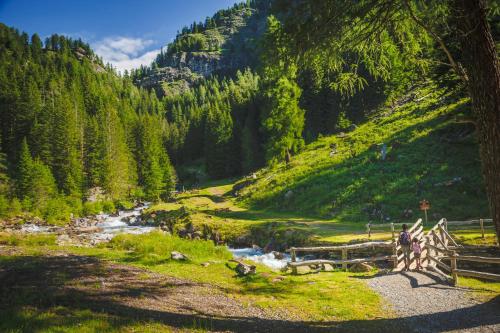 a mountain valley with a river and a fence at Active Hotel Monte Giner in Mezzana