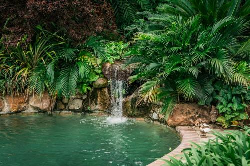 a pool of water with a waterfall in a garden at York Lodge in Harare