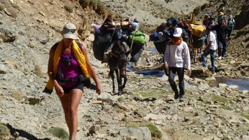 a group of people walking on a mountain with horses at Auberge Amazigh in Tamtetoucht