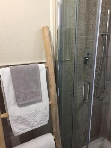 a bathroom with a shower and a towel rack at B&B Martina in Assemini