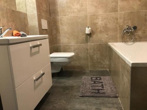 a bathroom with a toilet and a sink at Penzion V Centru in Prostějov